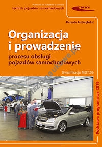Organizacja i prowadzenie procesu obsługi pojazdów samochodowych.