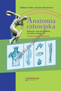 Anatomia człowieka