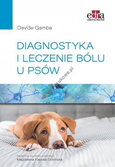 Diagnostyka i leczenie bólu u psów