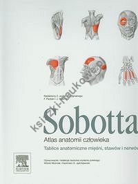 Atlas anatomii człowieka Sobotta tablice