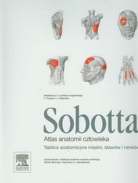 Atlas anatomii człowieka Sobotta tablice